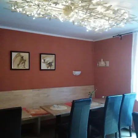 Sova * Ostrava